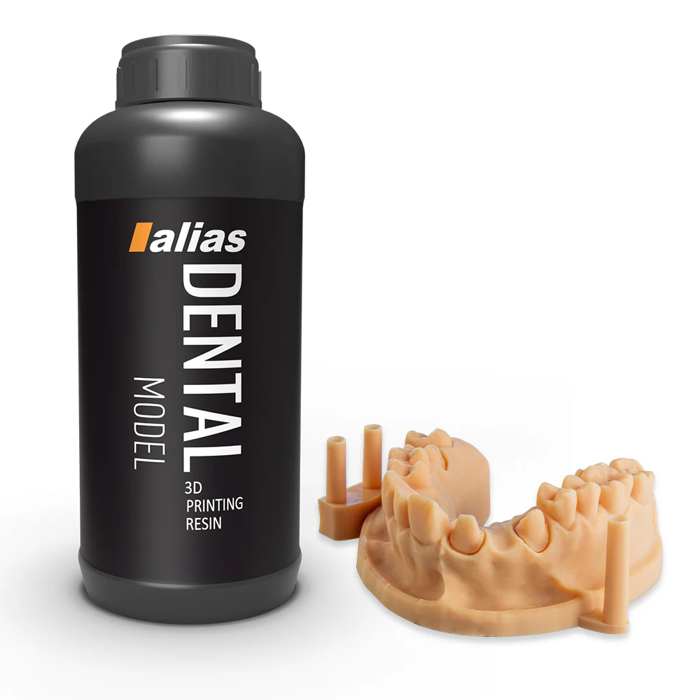Alias Dental Model